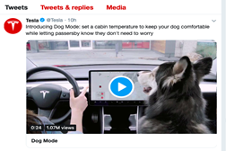 A Tesla já tem o modo “Cão” - Para ajudar a cuidar do seu animal de estimação