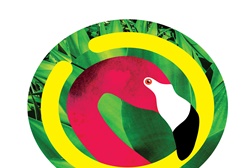 OUT///FEST 2017 chega a Cascais sob a imagem do flamingo