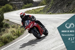 Newsletter nº 17/2025 - 30 de Abril de 2025