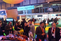 Palmela presente na FITUR - Madrid com vinhos da região