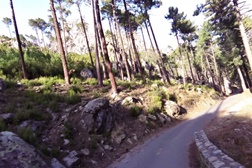 Passeio de Inverno - Dia 11-12: Corsica