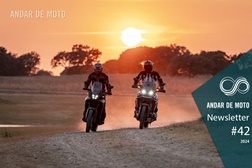 Newsletter nº 42/2024 - 29 de Outubro de 2024