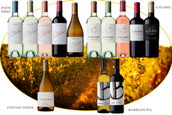 Ribafreixo apresenta nova imagem e novos vinhos ao mercado