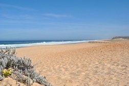 Frente Atlântica do Concelho de Grândola com 10 Bandeiras Azuis As Melhores Praias do Alentejo
