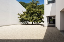 Museu de Serralves é o único museu português na lista dos mais visitados do Mundo 