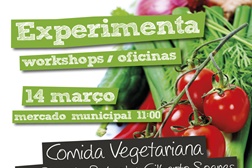 “Experimenta – Workshops/Oficinas” em Grândola