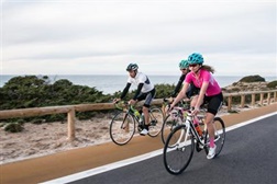 Petição pelo direito a pedalar em segurança será entregue na Assembleia da República