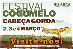 5.ª edição do Silarca Festival do Cogumelo