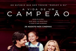 Vida de Um Campeão