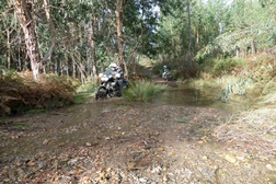 Trails de S. Martinho - Depois da tempestade...vem a bonança