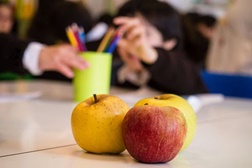 Projeto "Heróis da Fruta" implementado nas escolas em mais de metade dos concelhos de Portugal