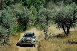 Quatro buscam vitória Mazda em Idanha-a-Nova