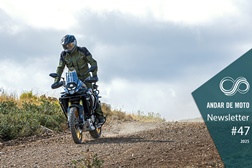 Newsletter nº 47/2025 - 25 de Outubro de 2025