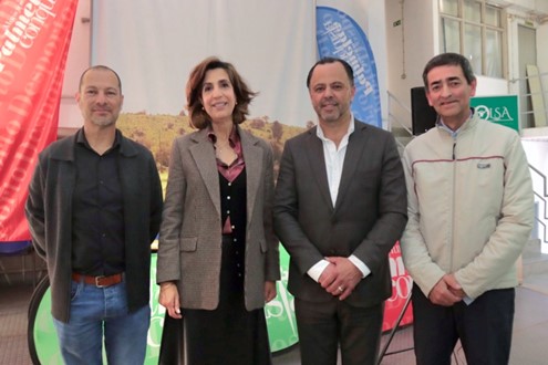 Pelotão Internacional volta a desafiar as estradas da Arrábida