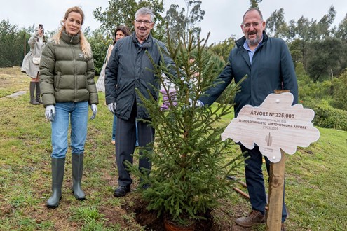 20 anos de plantações da iniciativa "Um Toyota, Uma Árvore" soma 225.000 árvores à floresta Portuguesa - 12.000 árvores Toyota vão reflorestar Albergaria-a-Velha