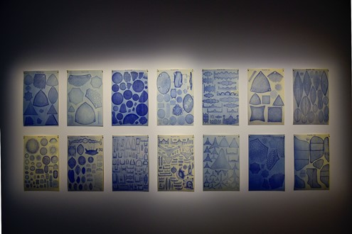 Exposição no Parque de Serralves revela a extraordinária beleza das diatomáceas no cruzamento entre ciência e arte - De 30 de outubro a 31 de janeiro de 2027, Parque de Serralves 