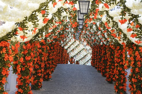 A casa onde nasceu Rui Nabeiro abre as portas ao público nas Festas do Povo de Campo Maior - Festas decorrem entre 8 e 16 de agosto