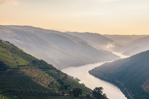 VAN ZELLERS & CO declara Vintage Port 2024 - Uma das grandes declarações deste século no Douro