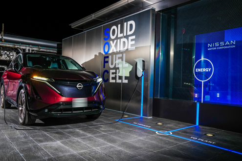Nissan inicia o ensaio para produção de eletricidade alimentada a bioetanol - Bioetanol de sorgo, planta herbácea