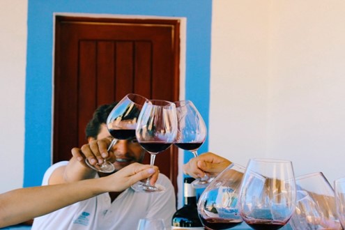 Da vinha à mesa: um dia na vindima da Casa Relvas - De 25 de agosto a 20 de setembro, o Programa de Vindimas convida a participar na colheita 