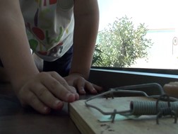 Diário de um menino de 4 anos