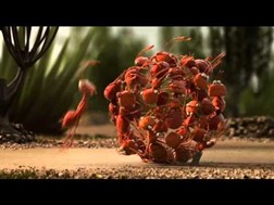 Andar em grupo é melhor