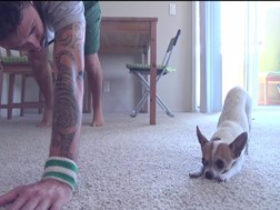 Hora de Yoga para o dono e para o cão!
