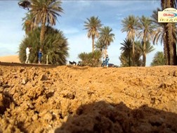 Rali de Marrocos 2012- Verificações técnicas