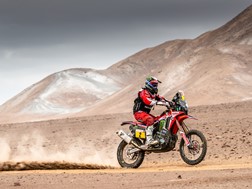 Galeria Dakar 2019