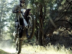 Yamaha WR450F "Reunion"