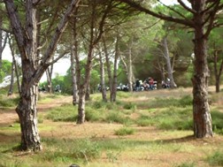 Noções básicas de condução off-road - Club F800GS Portugal