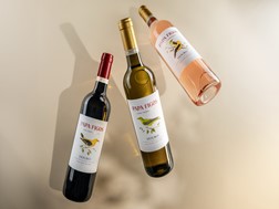 O novo voo de Papa Figos - Ícone do douro renova a imagem e afirma a  identidade de uma marca líder  