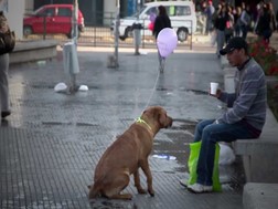 Estou Aqui (Estoy Aquí)