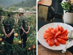Quinta de Ventozelo volta a vencer  o concurso Tomate Coração de Boi do Douro