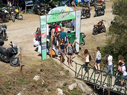 Adeus Góis 2014, até 2015