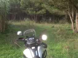 Incursão a solo - Quinta dos Ingleses, Carcavelos