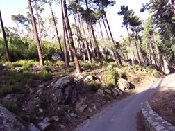 Passeio de Inverno - Dia 11-12: Corsica
