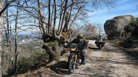 Caravana do 19º Portugal de Lés-a-Lés será a maior de sempre