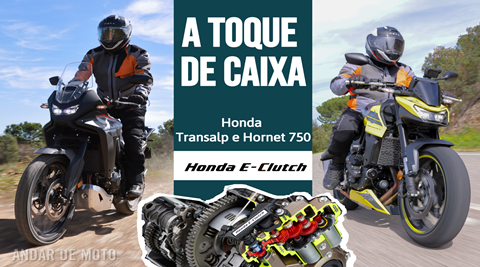 Texto: Henrique Saraiva