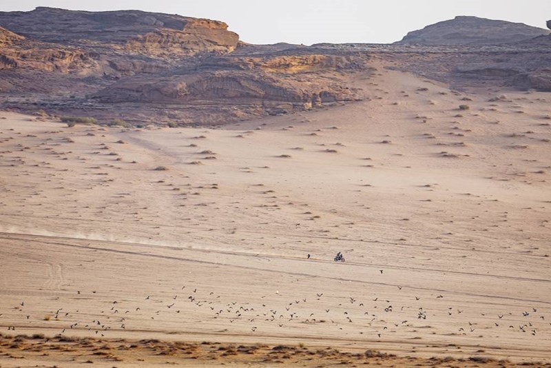 Rali Dakar 2026: Etapa 4, liderança é agora de Toscha Schareina, Bruno Santos melhor português e Ventura em sérias dificuldades