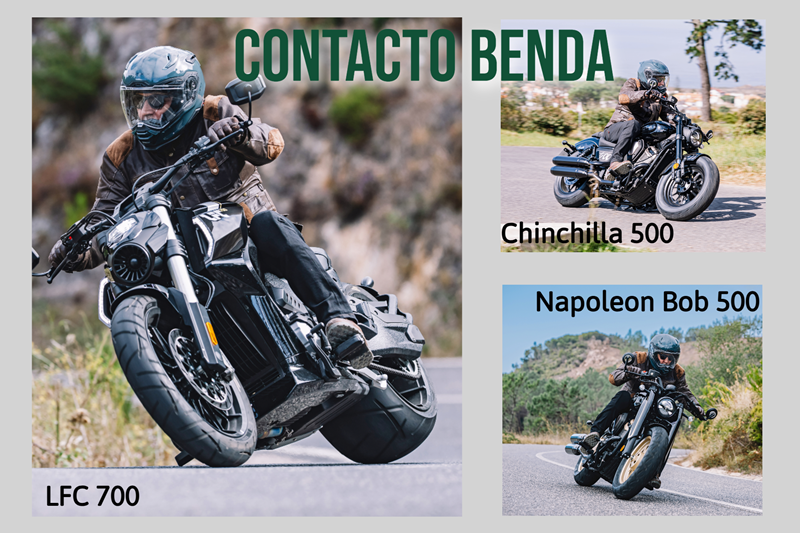Contacto Benda LFC 700 / Chinchilla 500 / Napoleon Bob 500