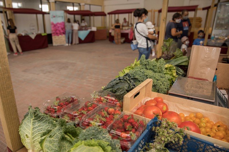 Quinta do Anjo recebe novas edições do Mercado da Aldeia Outdoor e