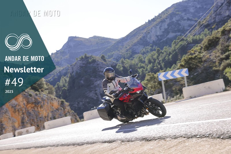 Newsletter nº 49/2025 - 16 de Dezembro de 2025