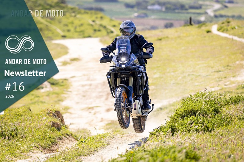 Newsletter nº 16/2026 - 29 de Abril de 2026