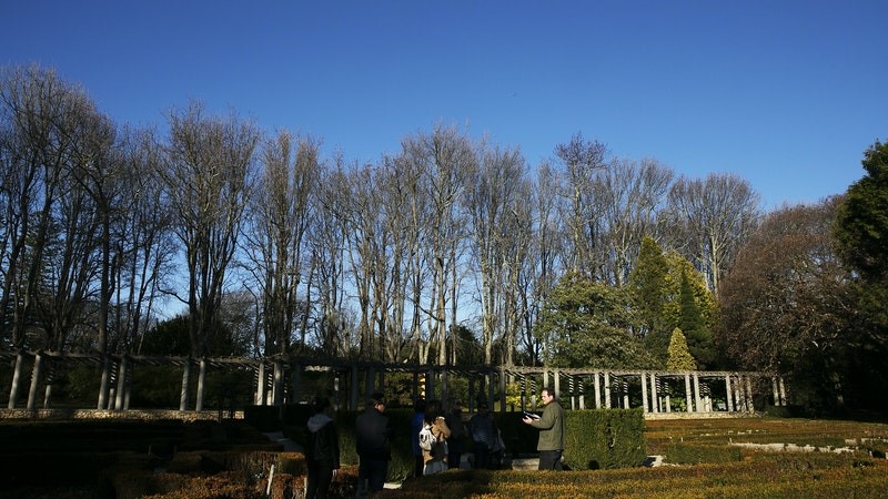 Parque de Serralves - www.serralves.pt