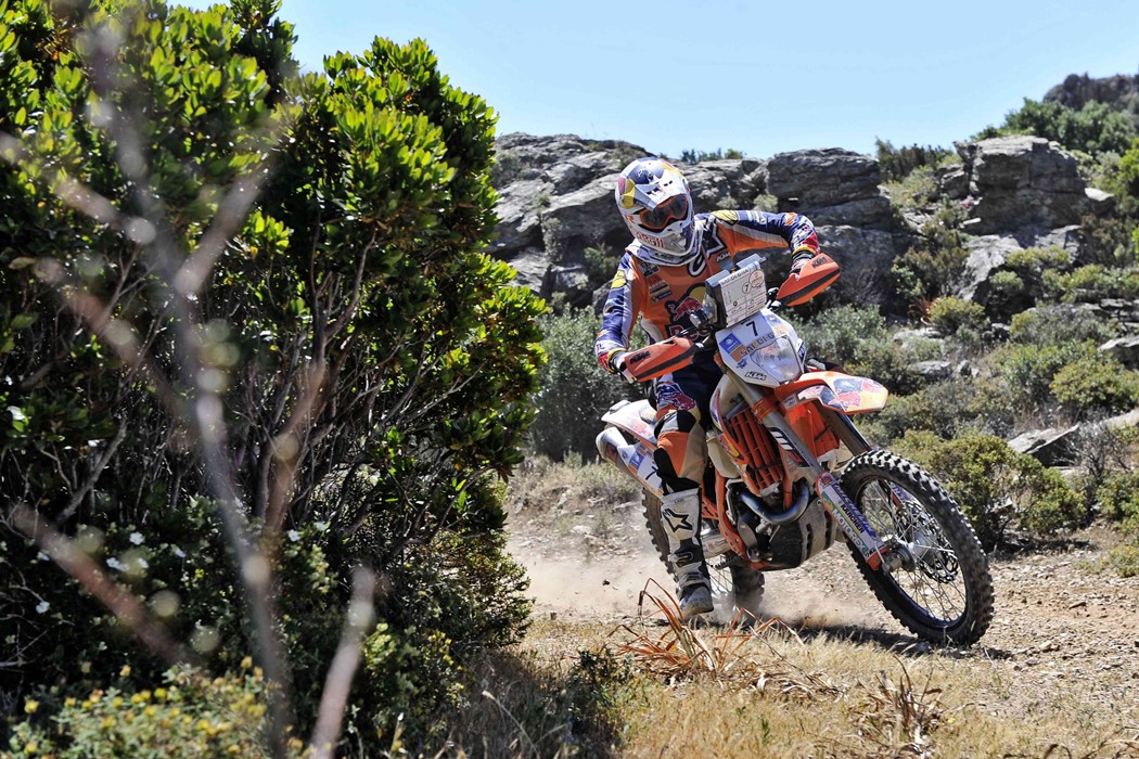Ruben Faria
