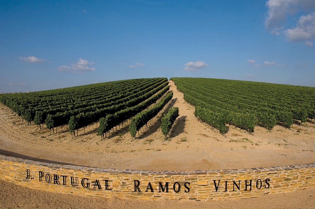 Vinhas