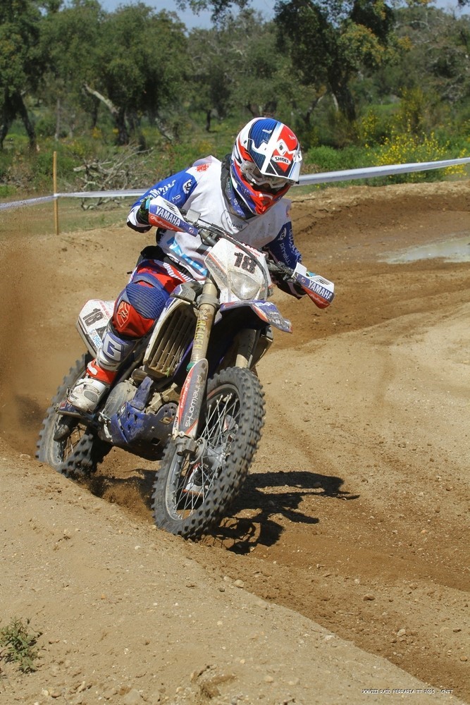 David Ferreira
