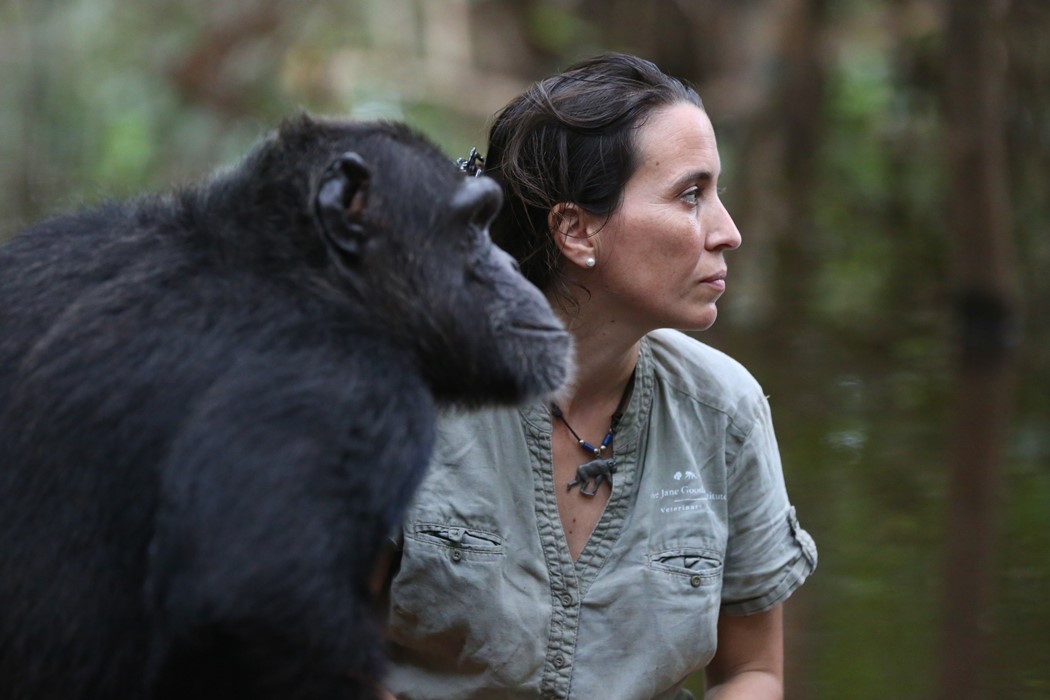 Rebeca Atencia com Koungoulou na floresta
