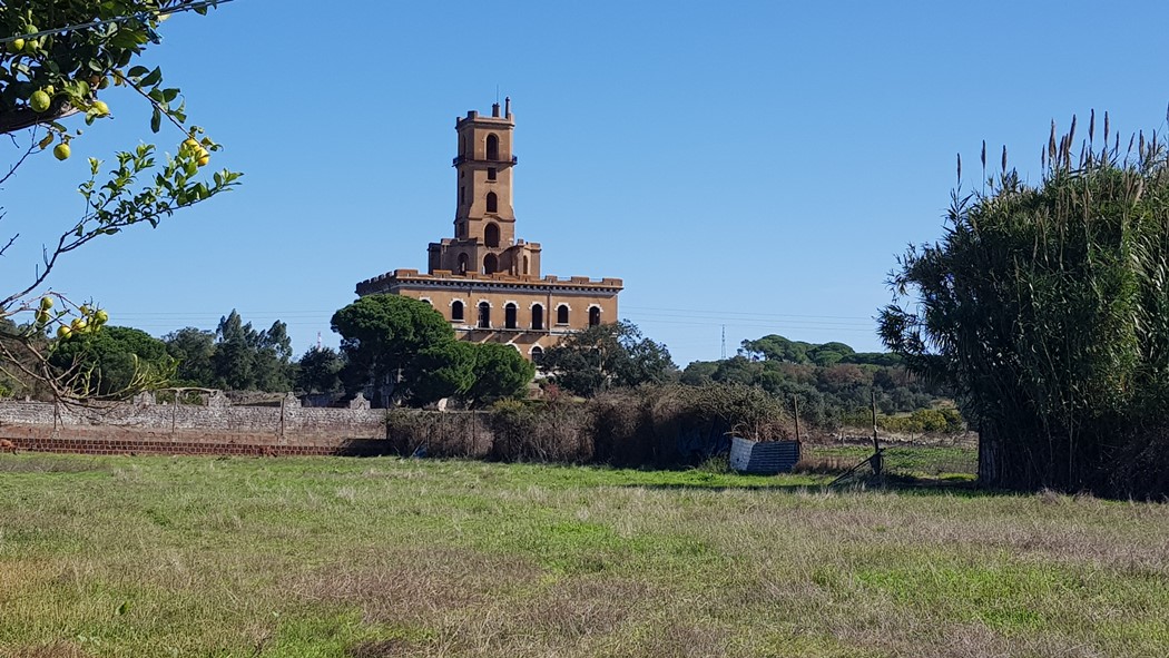 Palácio do Rei do Lixo